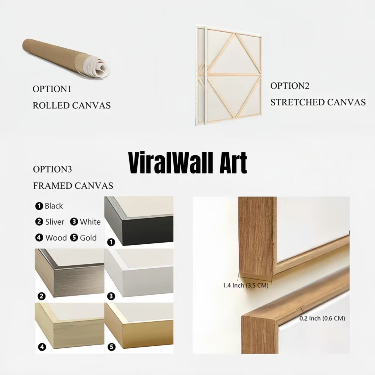 Viral Wall Art canvas options: Option 1 Rolled Canvas, Option 2 Stretched Canvas, and Option 3 Framed Canvas in 5 colors.