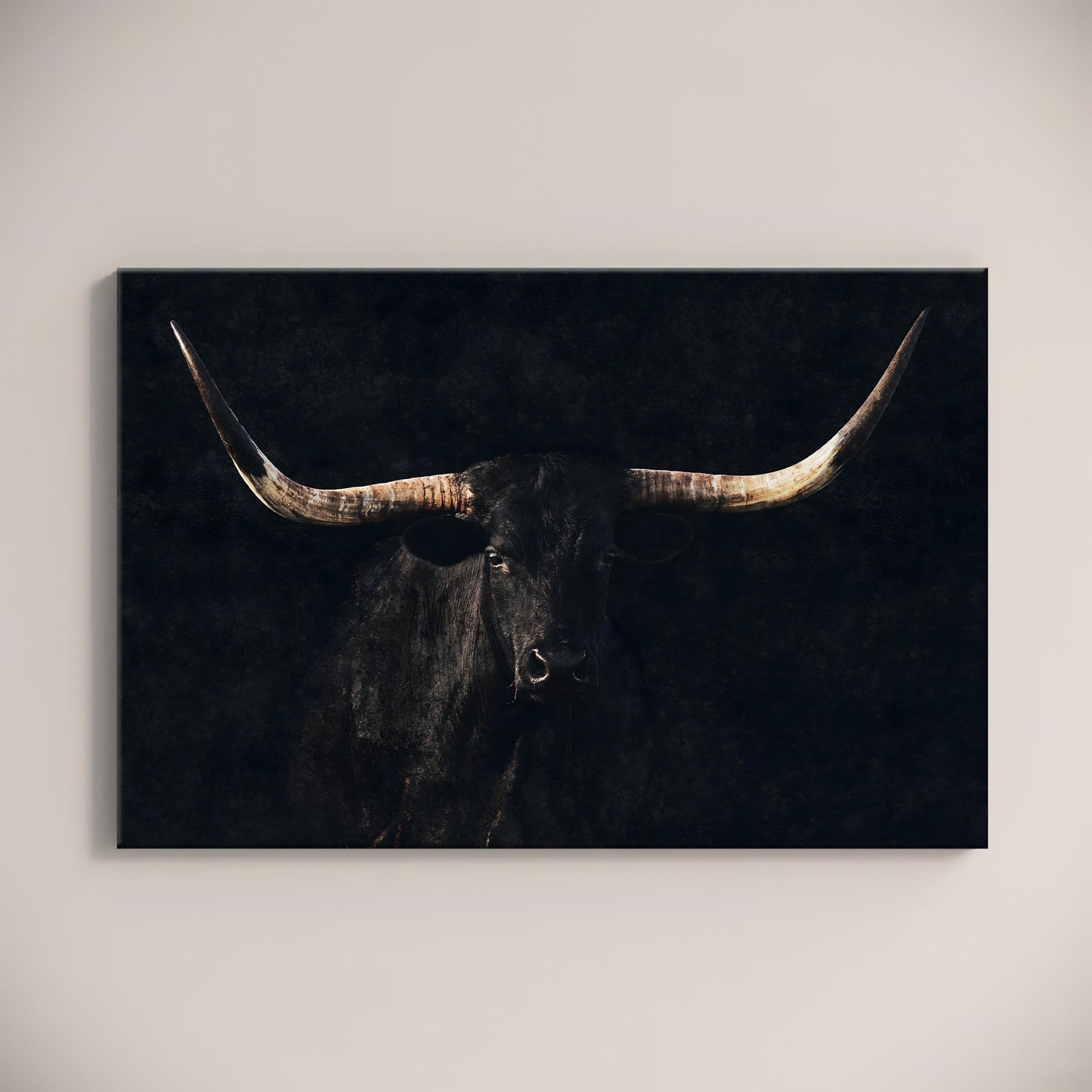 Texas Longhorn Western Wall Art
