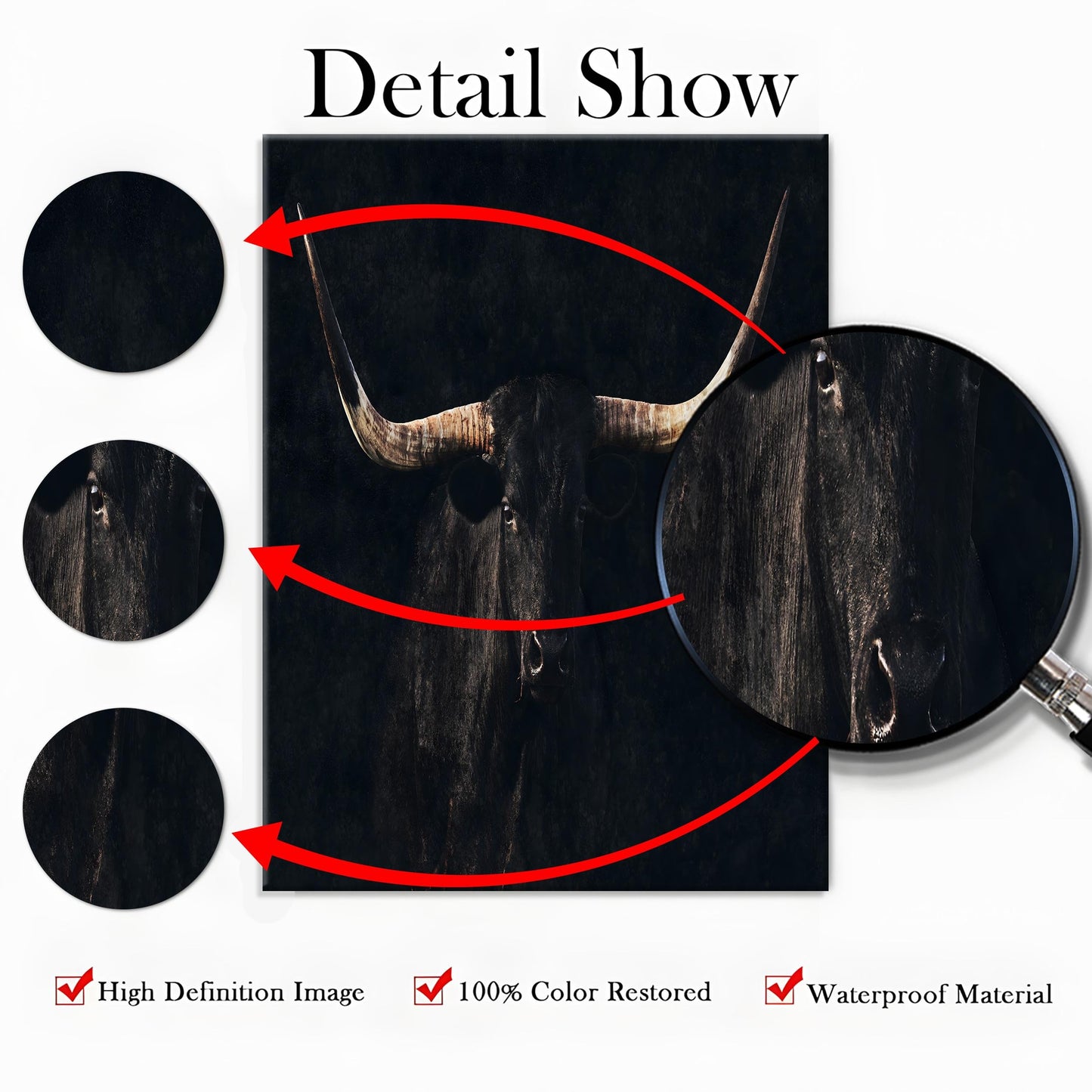 Texas Longhorn Western Wall Art