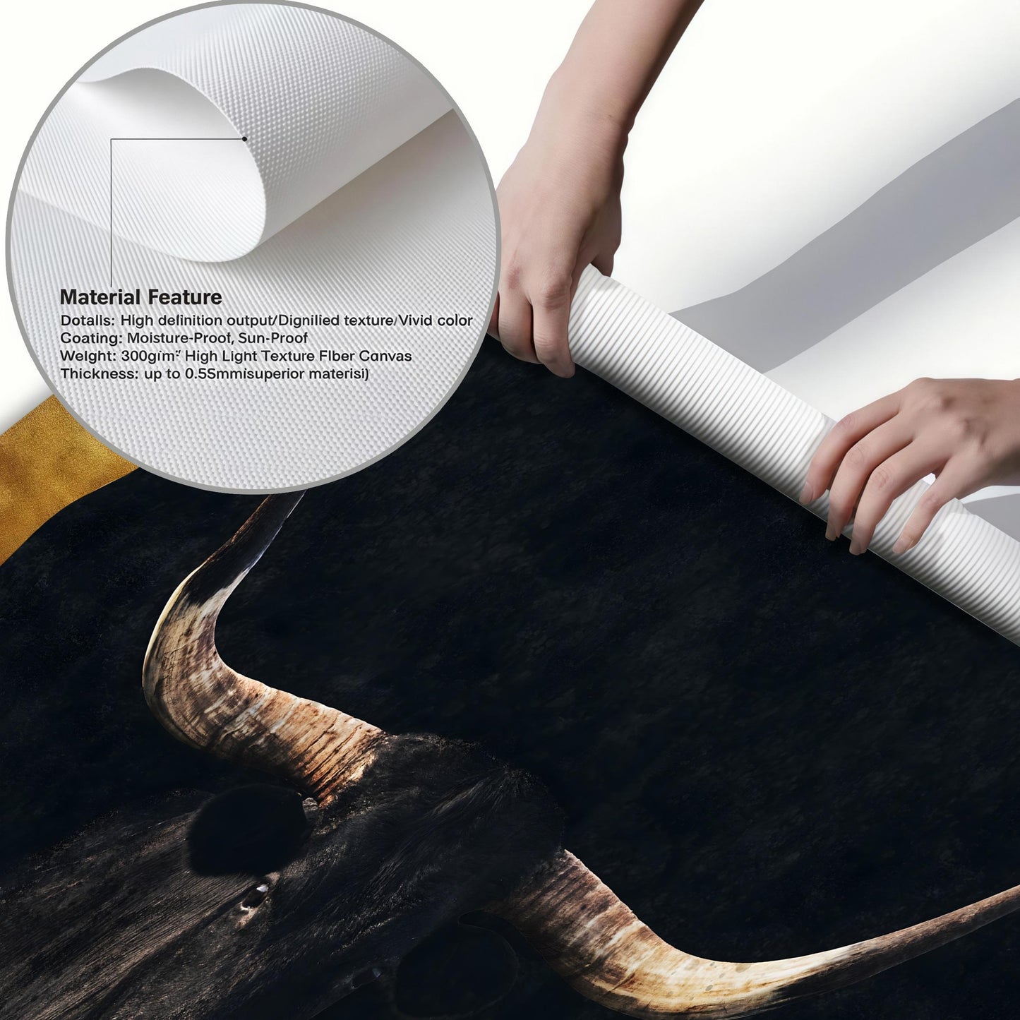 Texas Longhorn Western Wall Art