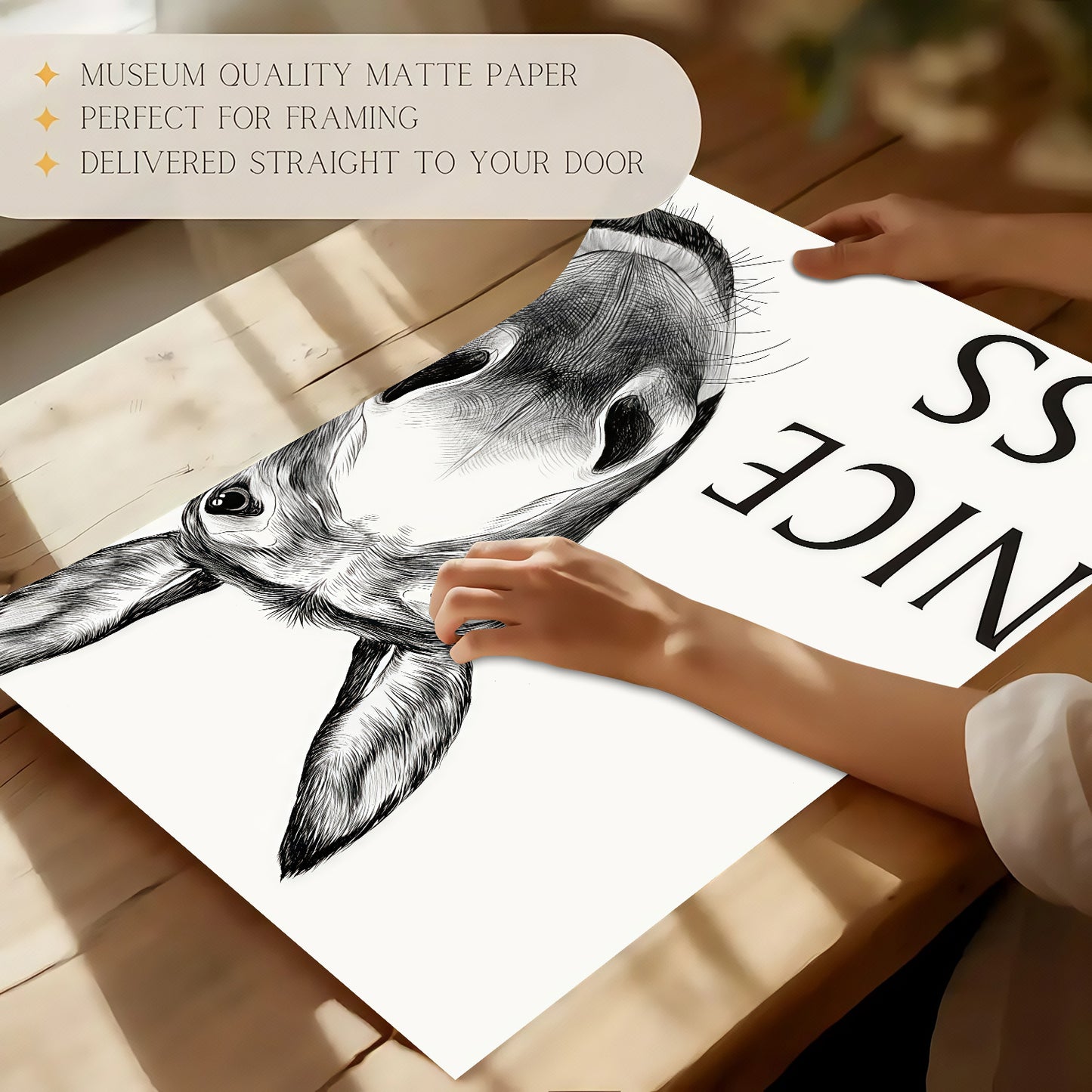 Funny Bathroom Wall Art Collection - Humor Animal & Famous Art Parody - Donkey, Cat, Mona Lisa & More (Restroom Decor)